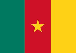 Cameroon Flag